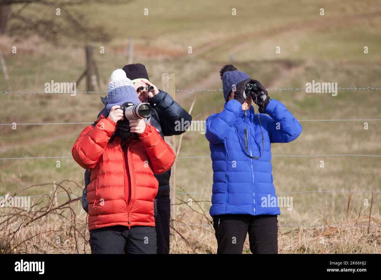 Peninsula of Ardamurchan, Scotland. Picturesque view of three ladies bird spotting at Ardamurchan’s Camas nan Geall’s. Stock Photo