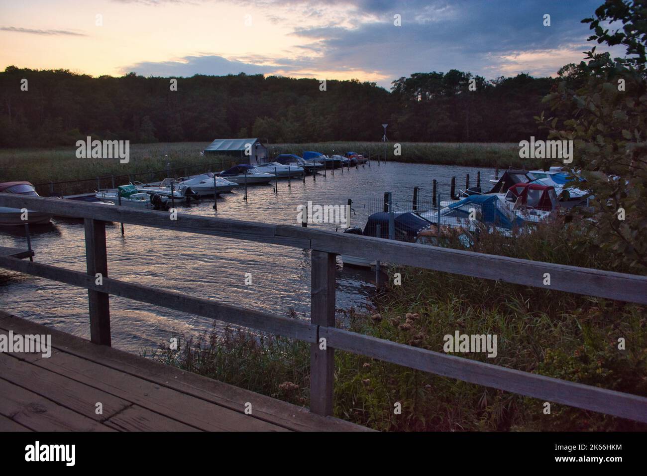 Baltic Sea beach in Flensburg, green border to Denmark Stock Photo Alamy