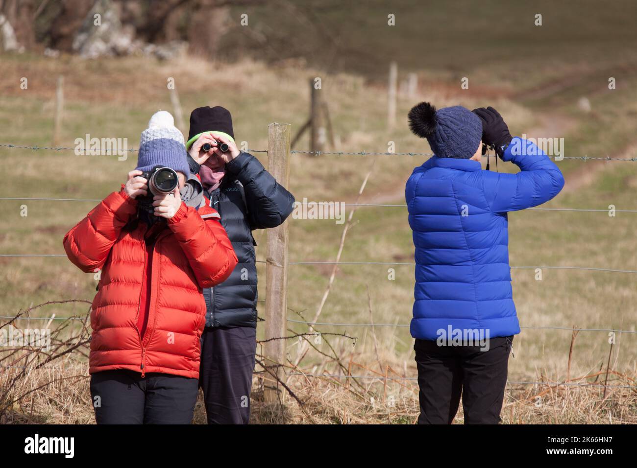 Peninsula of Ardamurchan, Scotland. Picturesque view of three ladies bird spotting at Ardamurchan’s Camas nan Geall’s. Stock Photo