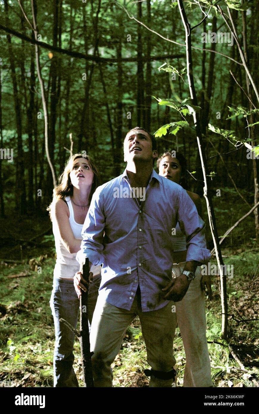ELIZA DUSHKU, DESMOND HARRINGTON, EMMANUELLE CHRIQUI, WRONG TURN, 2003 ...