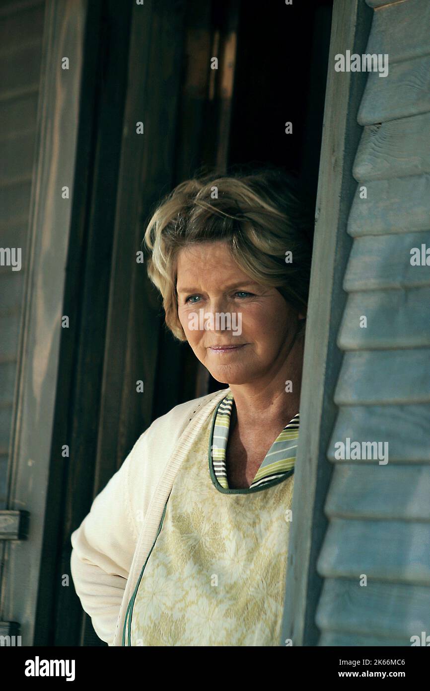MELINDA DILLON, A PAINTED HOUSE, 2003 Stock Photo Alamy