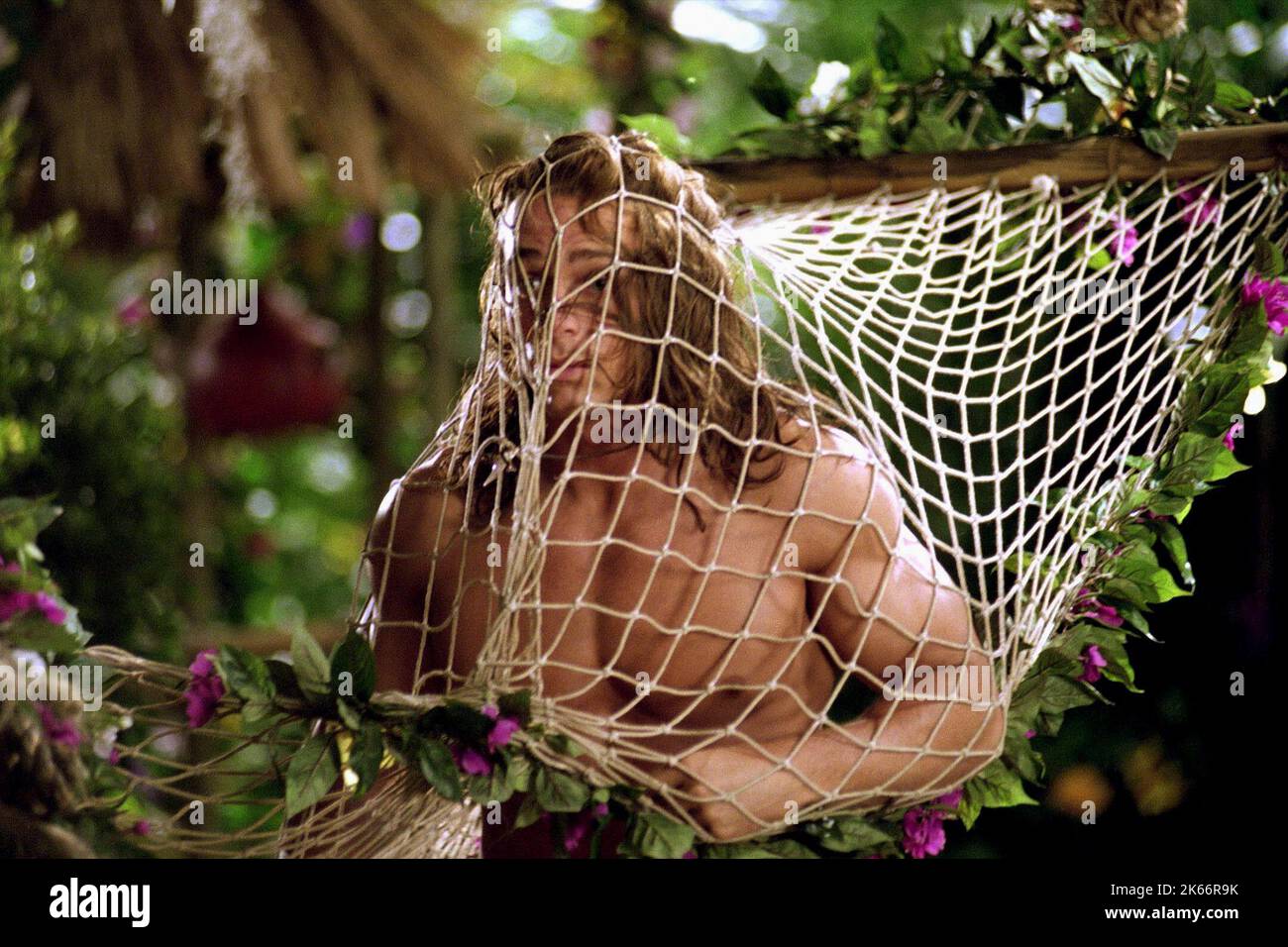 Christopher showerman george jungle 2003 hi-res stock photography and  images - Alamy, image size:1300x956