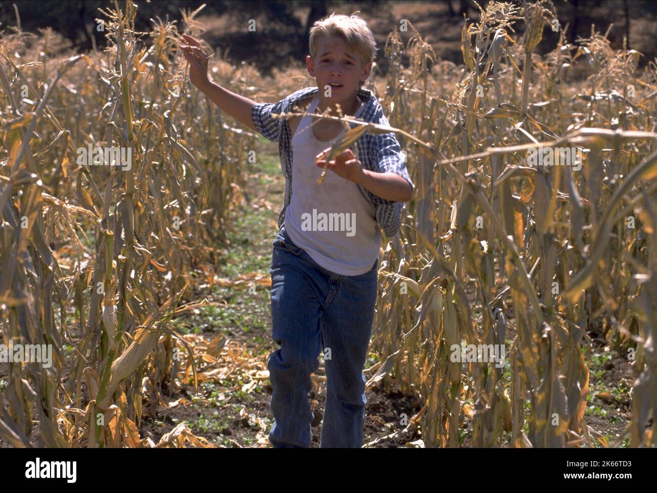 SHAUN FLEMING, JEEPERS CREEPERS II, 2003 Stock Photo Alamy