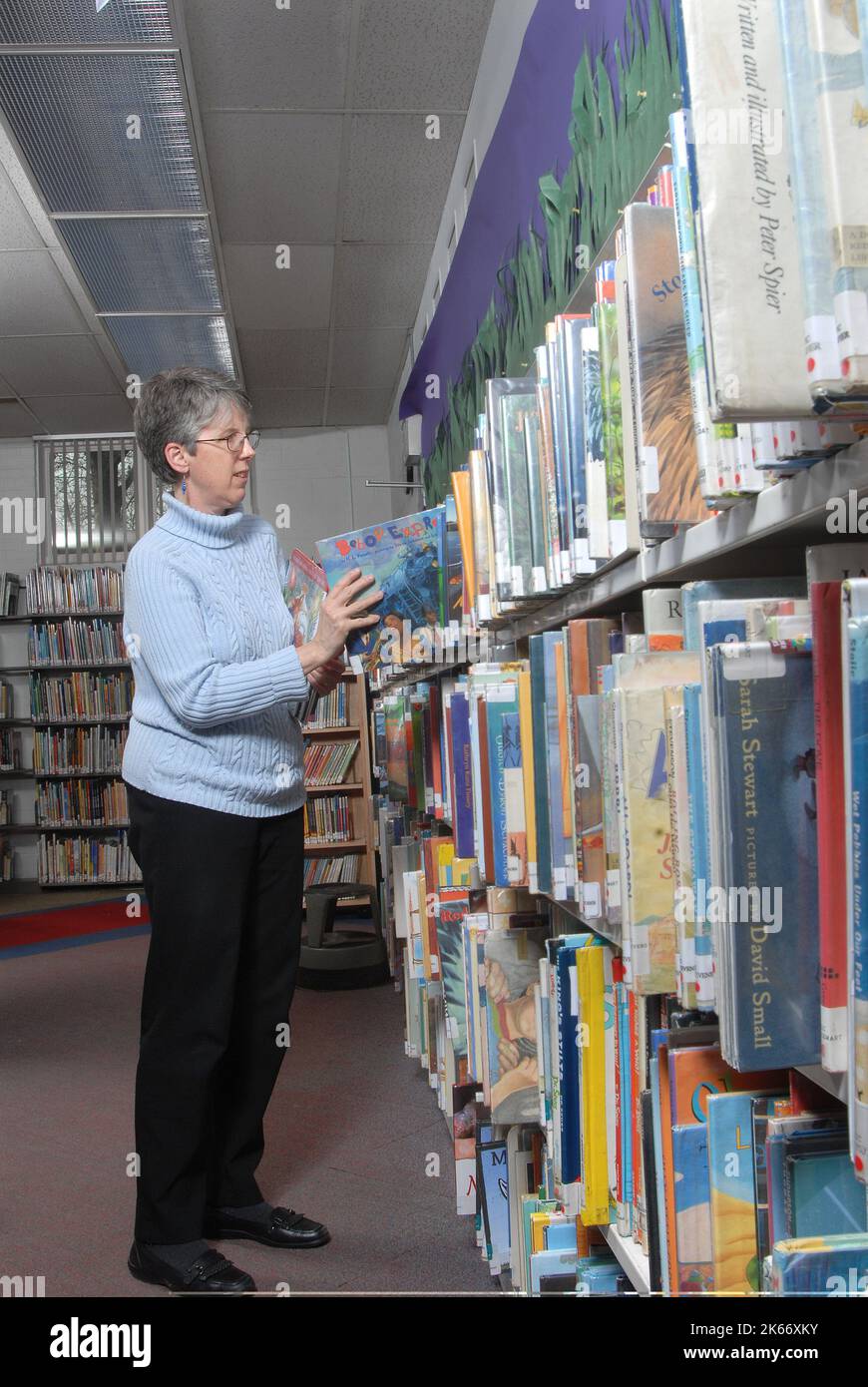 Library Assistant, Clerical Stock Photo