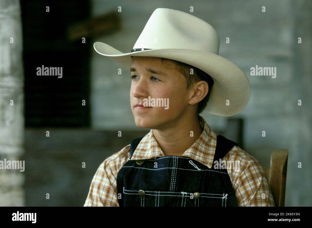 HALEY JOEL OSMENT, SECONDHAND LIONS, 2003 Stock Photo Alamy