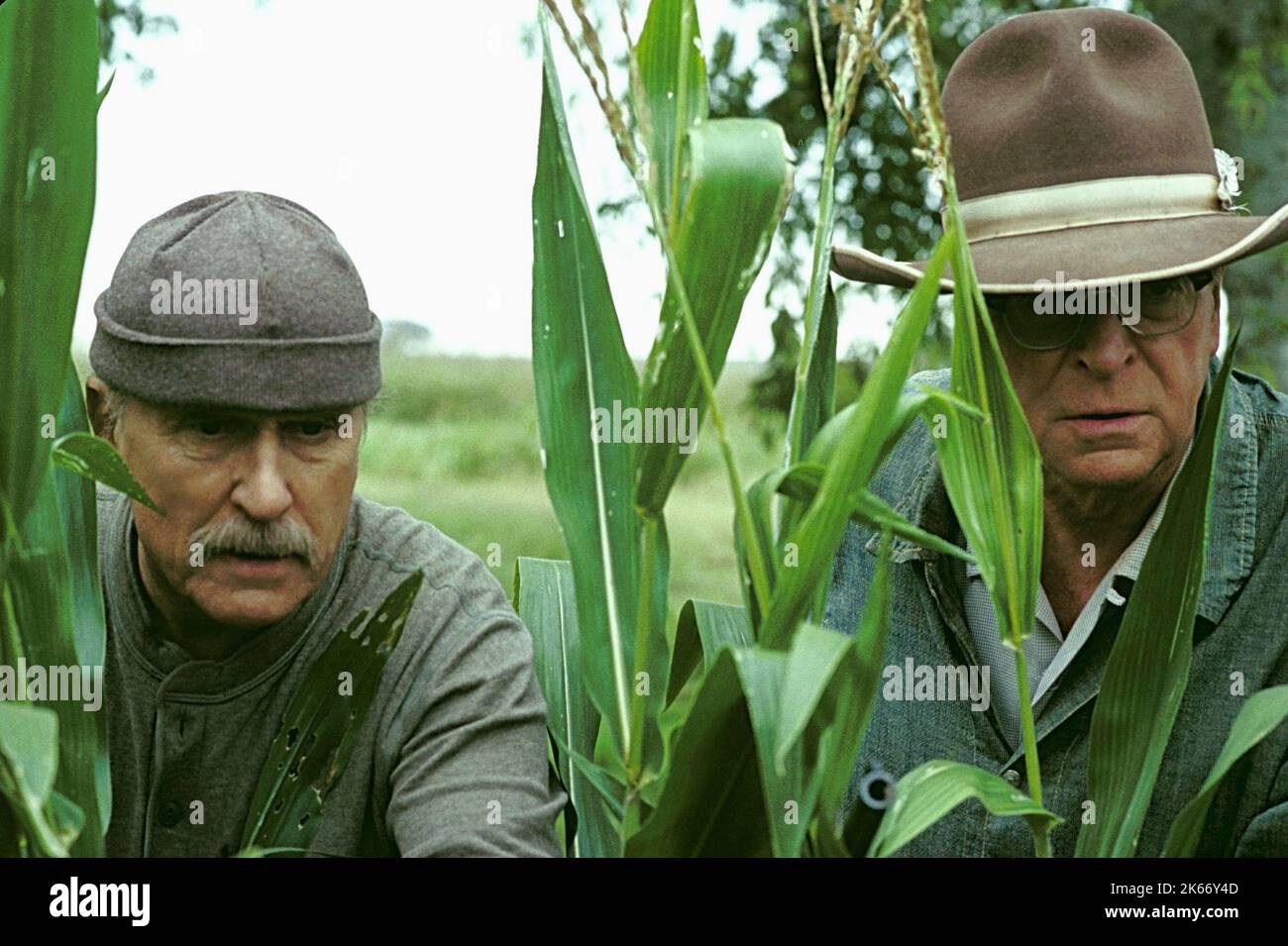 DUVALL,CAINE, SECONDHAND LIONS, 2003 Stock Photo - Alamy
