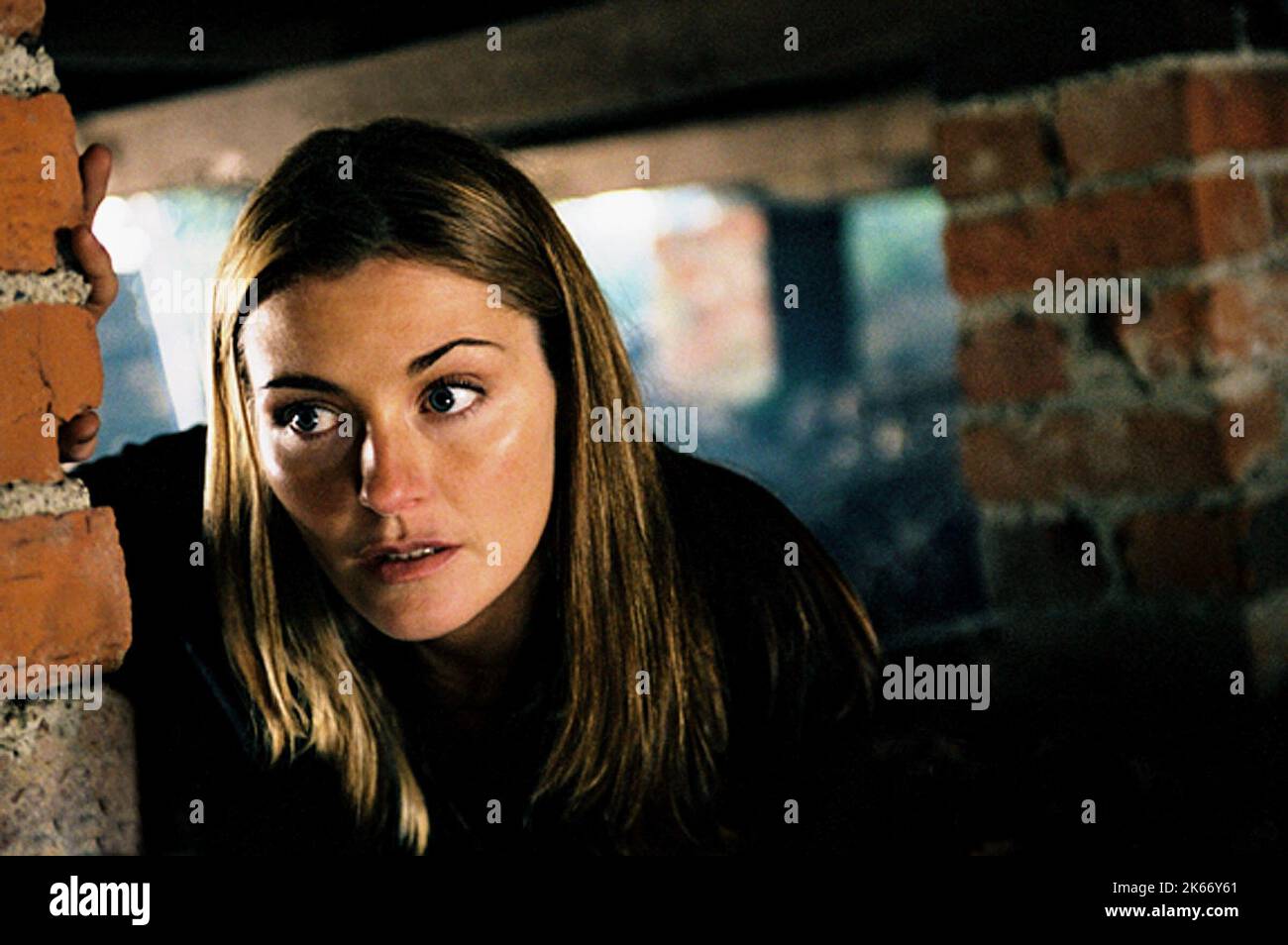 LOUISE LOMBARD, SECOND NATURE, 2003 Stock Photo