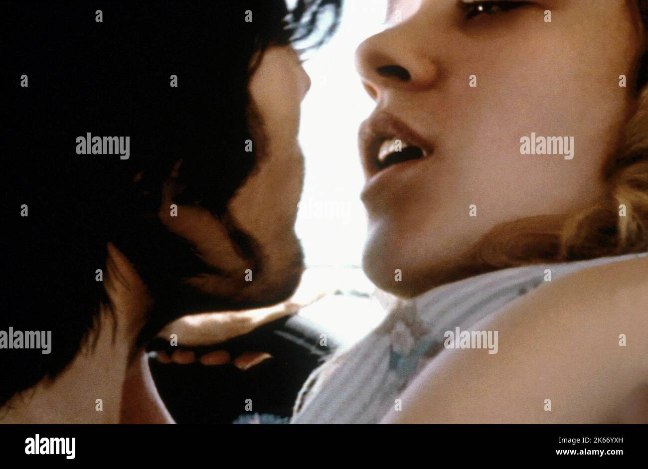 Brown bunny vincent gallo hi-res stock photography and