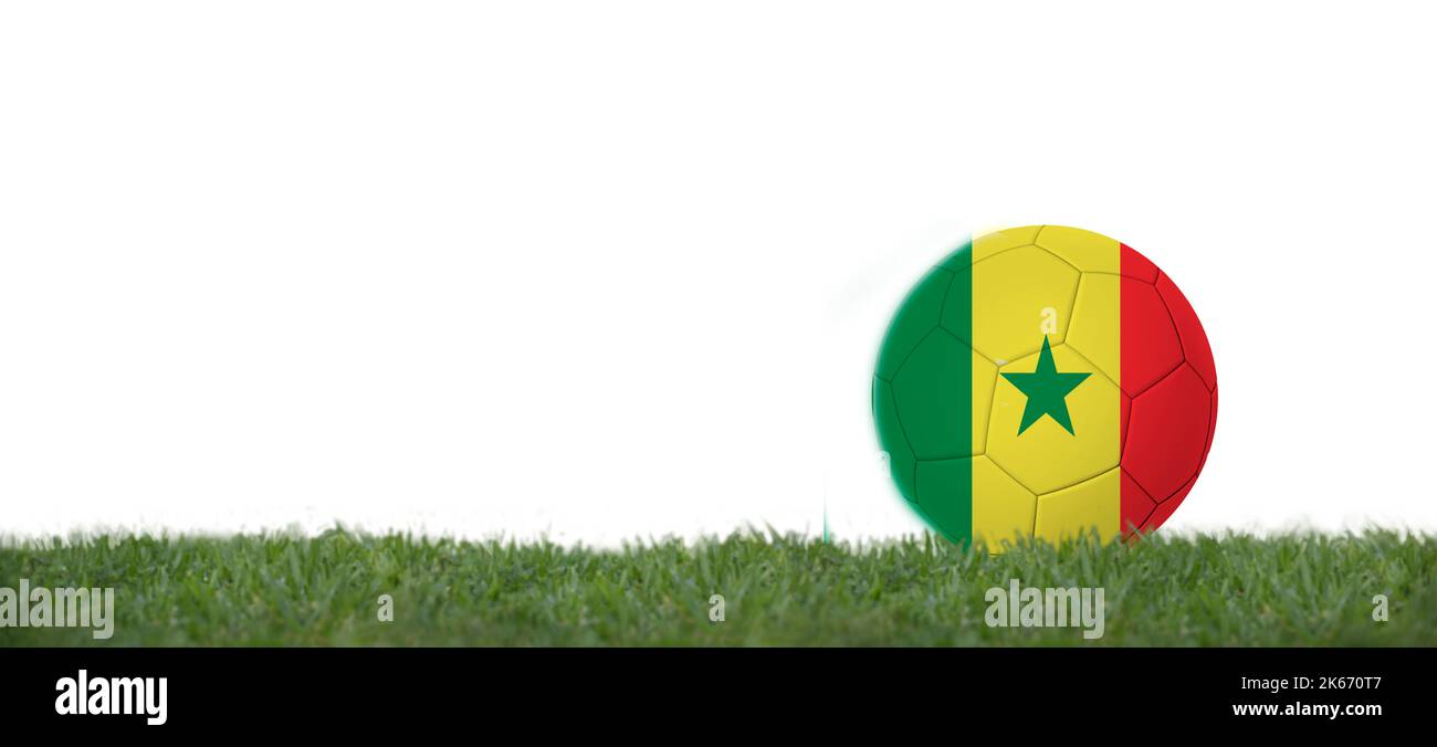 3D illustration Soccer ball with senegal flag on grass, copy space with white background. Stock Photo