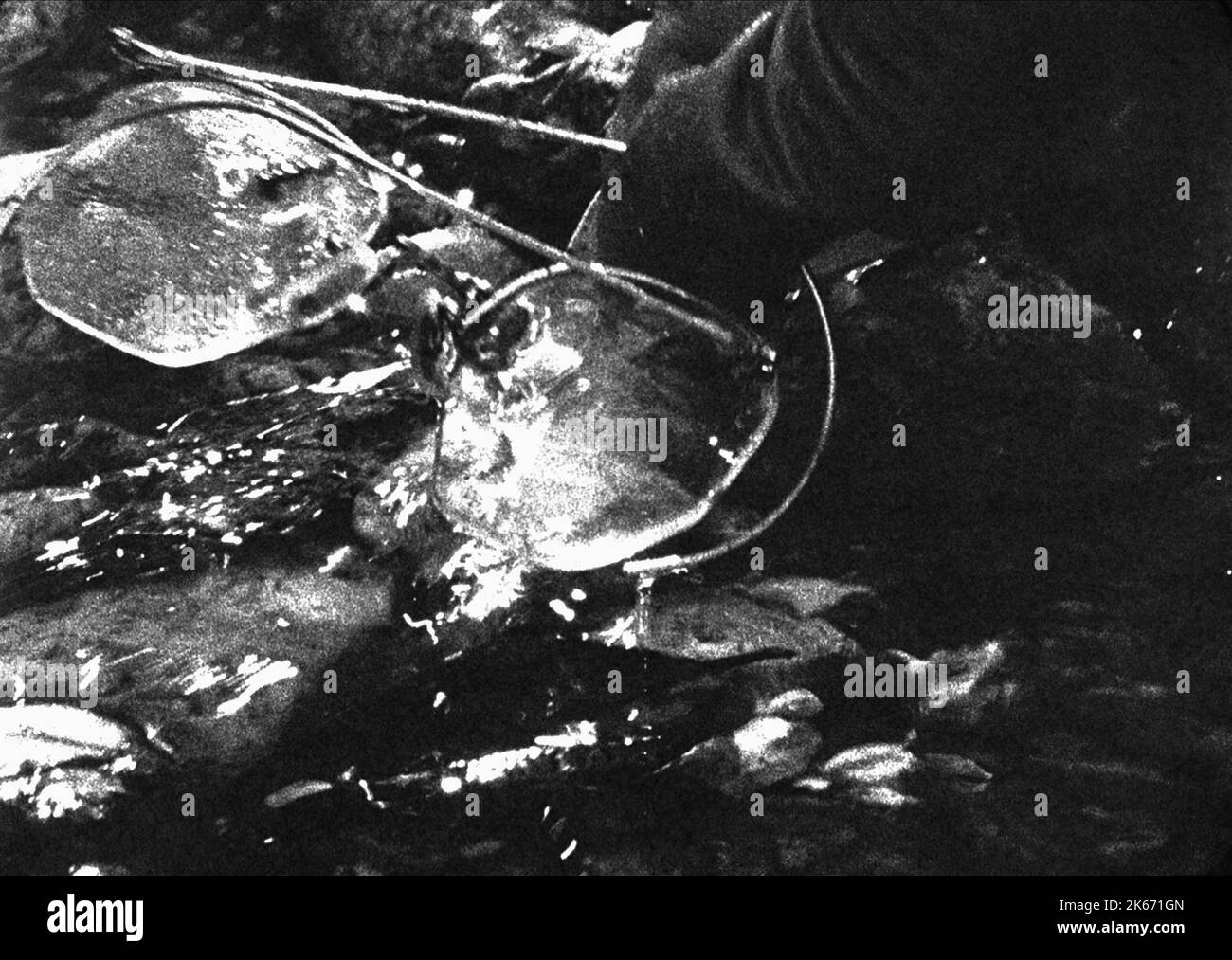 CRIME SCENE EVIDENCE, THE TEXAS CHAINSAW MASSACRE, 2003 Stock Photo Alamy