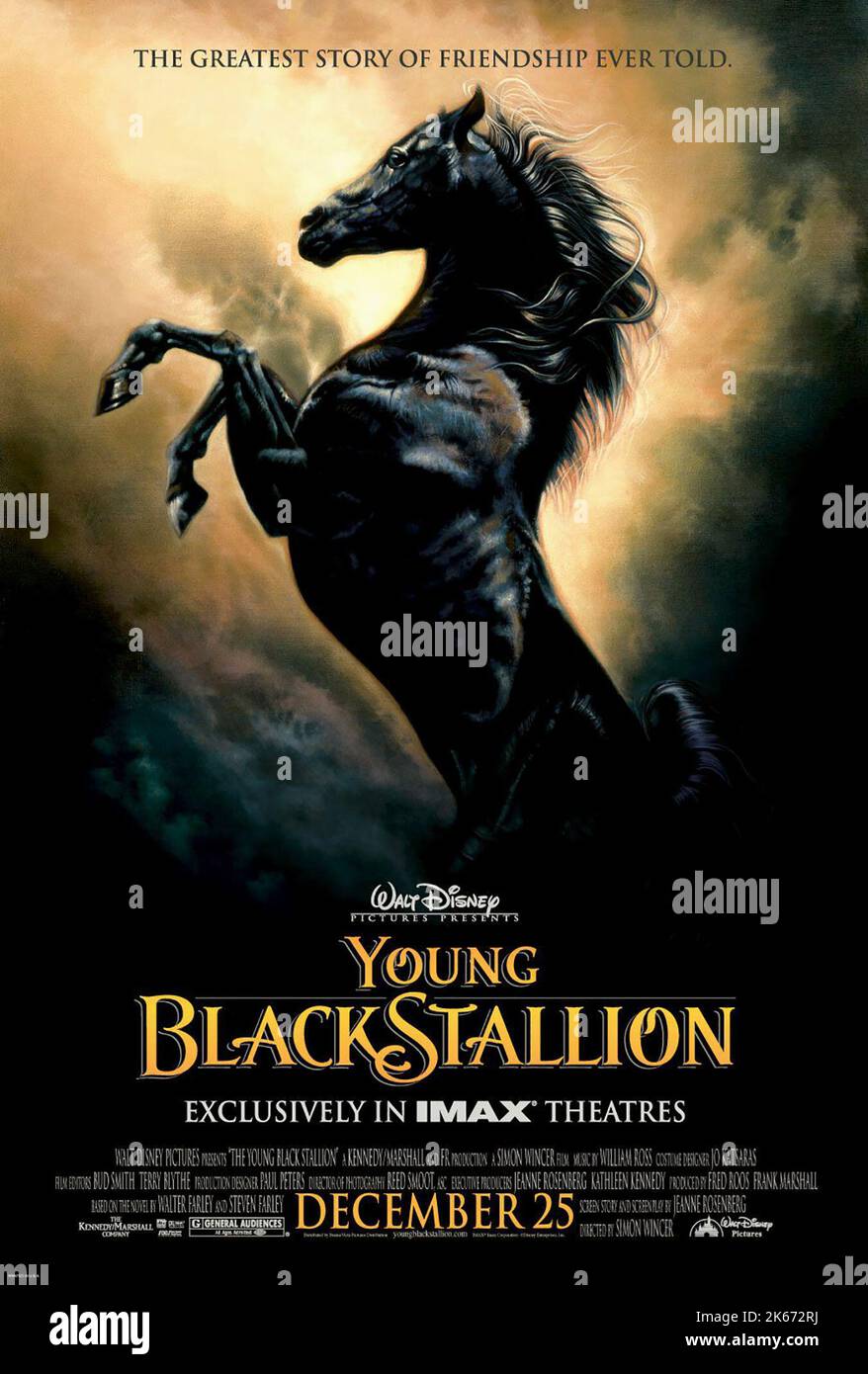 FILM POSTER, THE YOUNG BLACK STALLION, 2003 Stock Photo