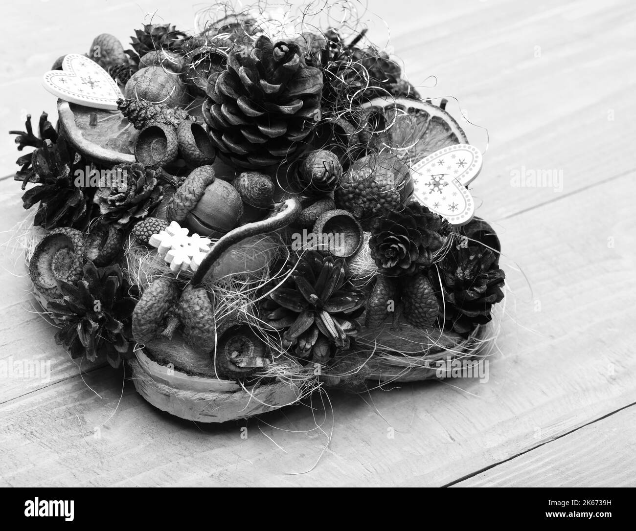 Fir tree cones, nuts, acorns and dry citruses in composition. Stock Photo