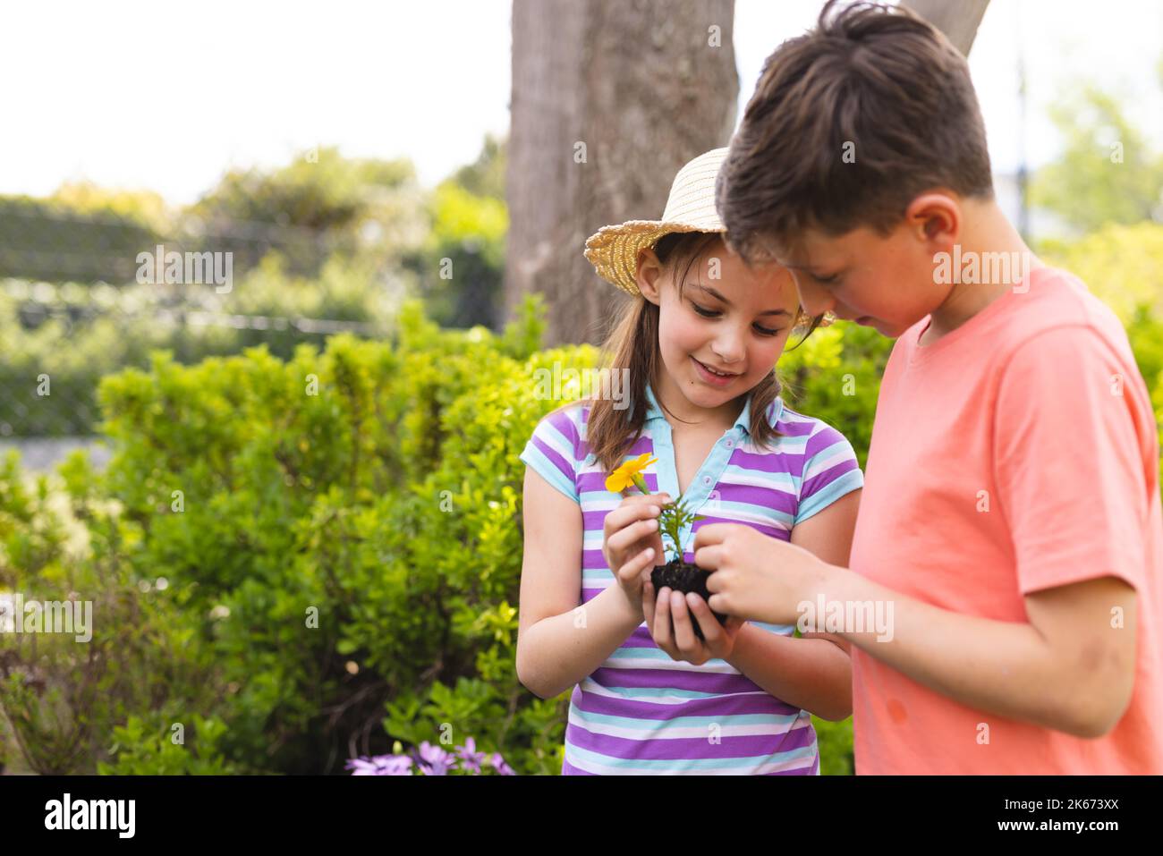 Caucasian children spending time together in the garden, planting Stock Photo