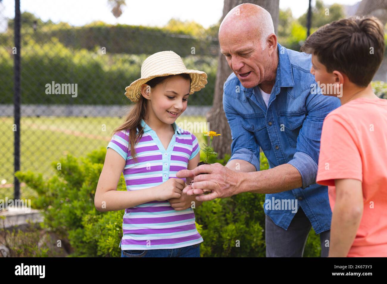 Caucasian children and grandfather spending time together in the garden, planting Stock Photo