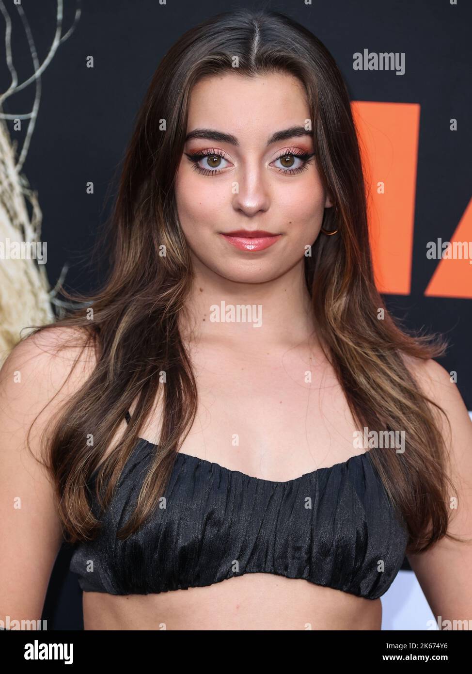 Hollywood, United States. 11th Oct, 2022. HOLLYWOOD, LOS ANGELES