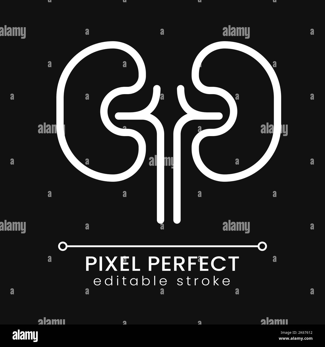 The urinary system anatomy Black and White Stock Photos & Images - Alamy