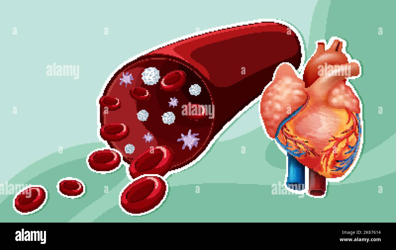 Blood hemoglobin cartoon hi-res stock photography and images - Alamy