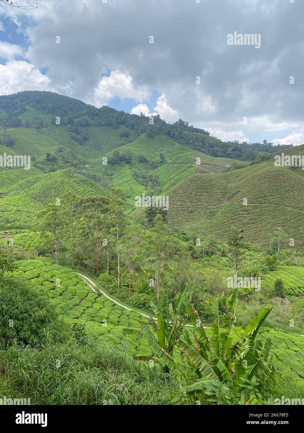 An aerial view of a road between Range Green hills with trees under ...