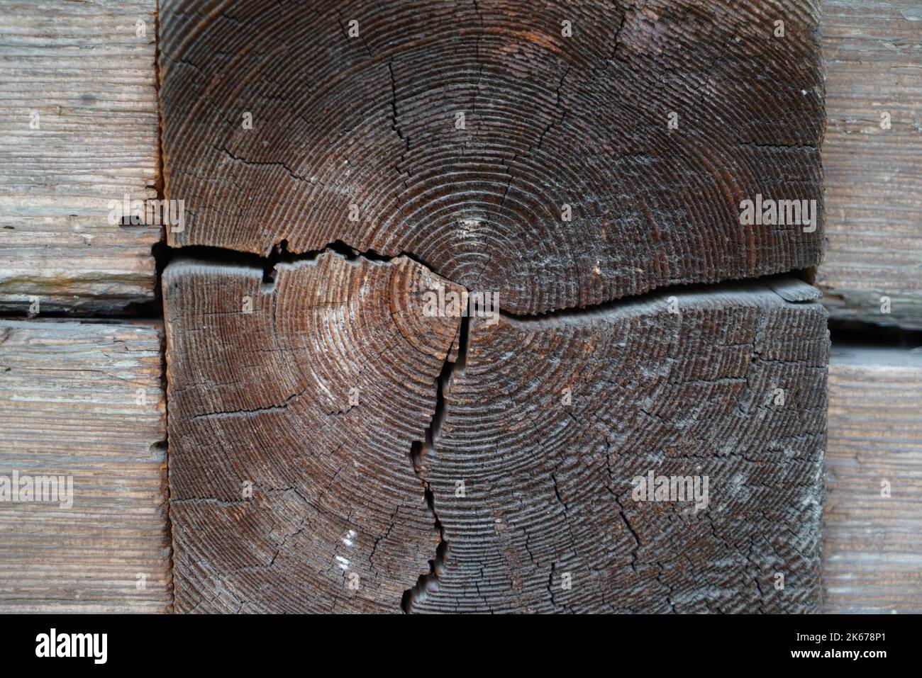 A closeup shot of a broken piece of wood Stock Photo