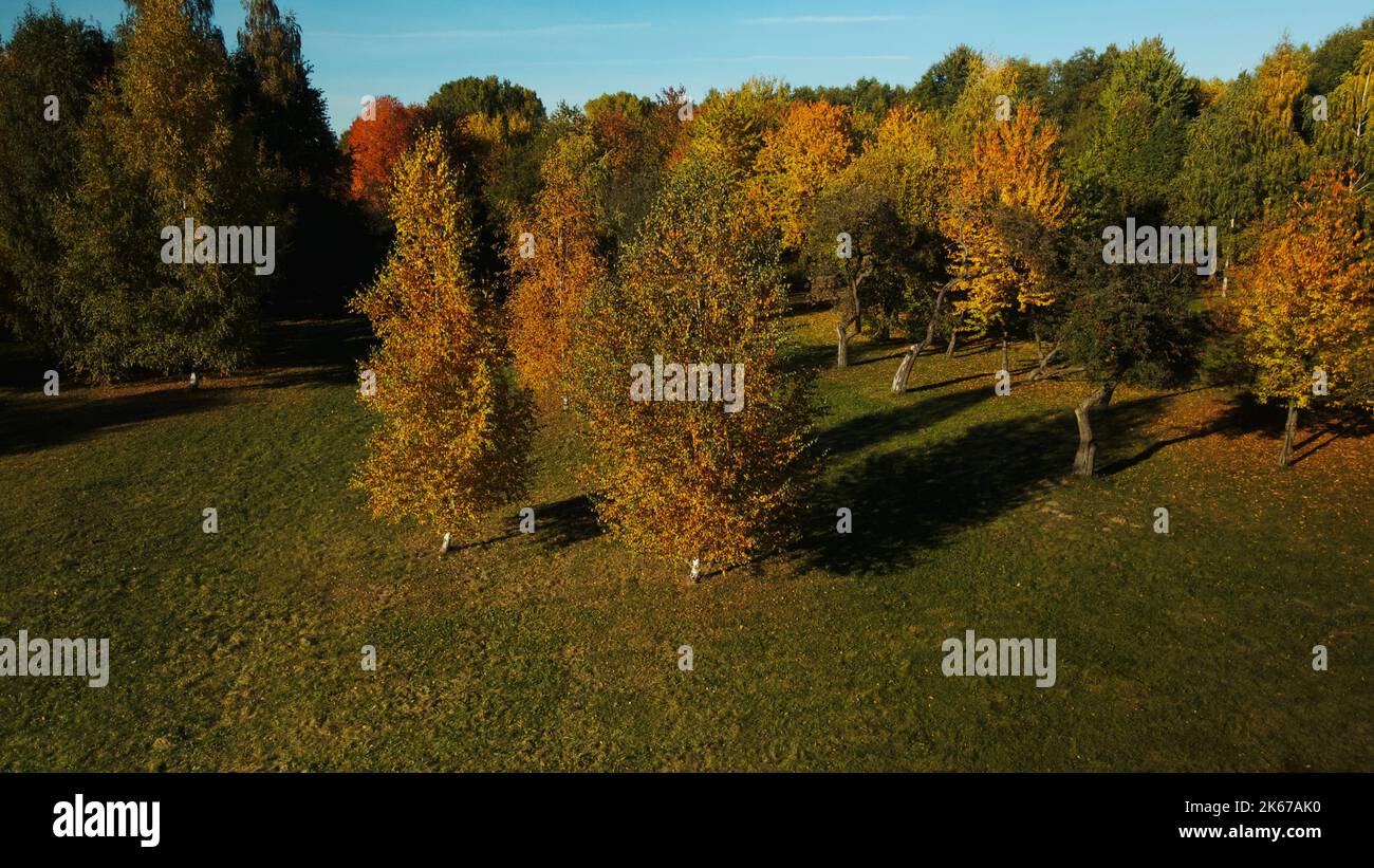 Tree Fall Image Overhead Aerial video of fall trees hi-res stock photography and images - Alamy