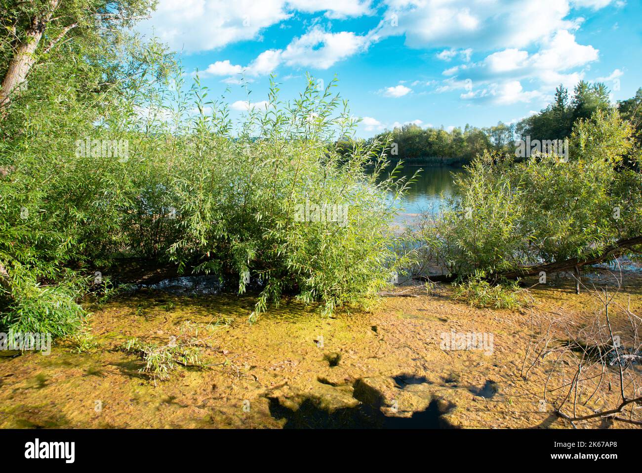 Biodiversity Haff Reimech, wetland and nature reserve in Luxembourg ...
