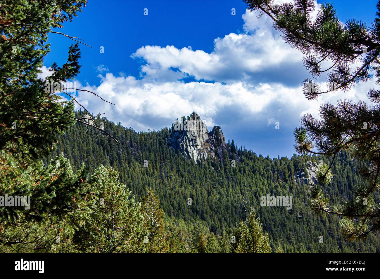 Rocky Peak in the Forest Stock Photo