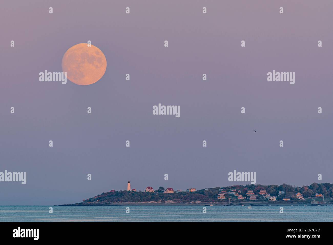 Hunters Moon Rising Over Bakers Island with Lavender Sky Stock Photo
