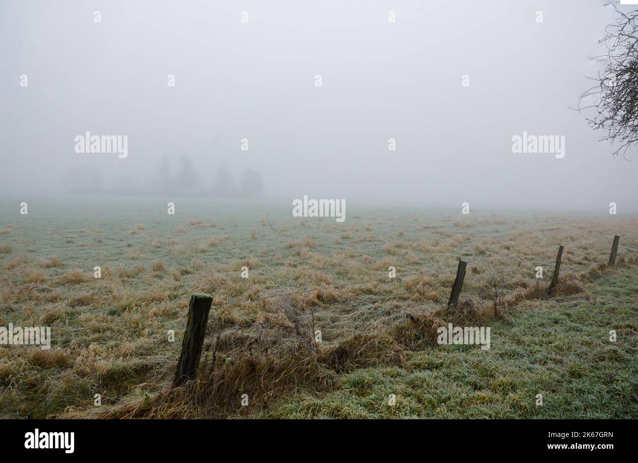 Morgennebel über dem Feld Stock Photo