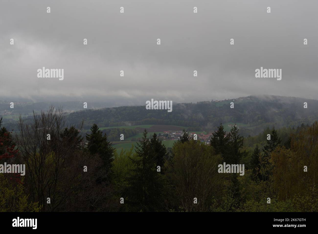 An aerial view of growing dense trees in forest Stock Photo - Alamy