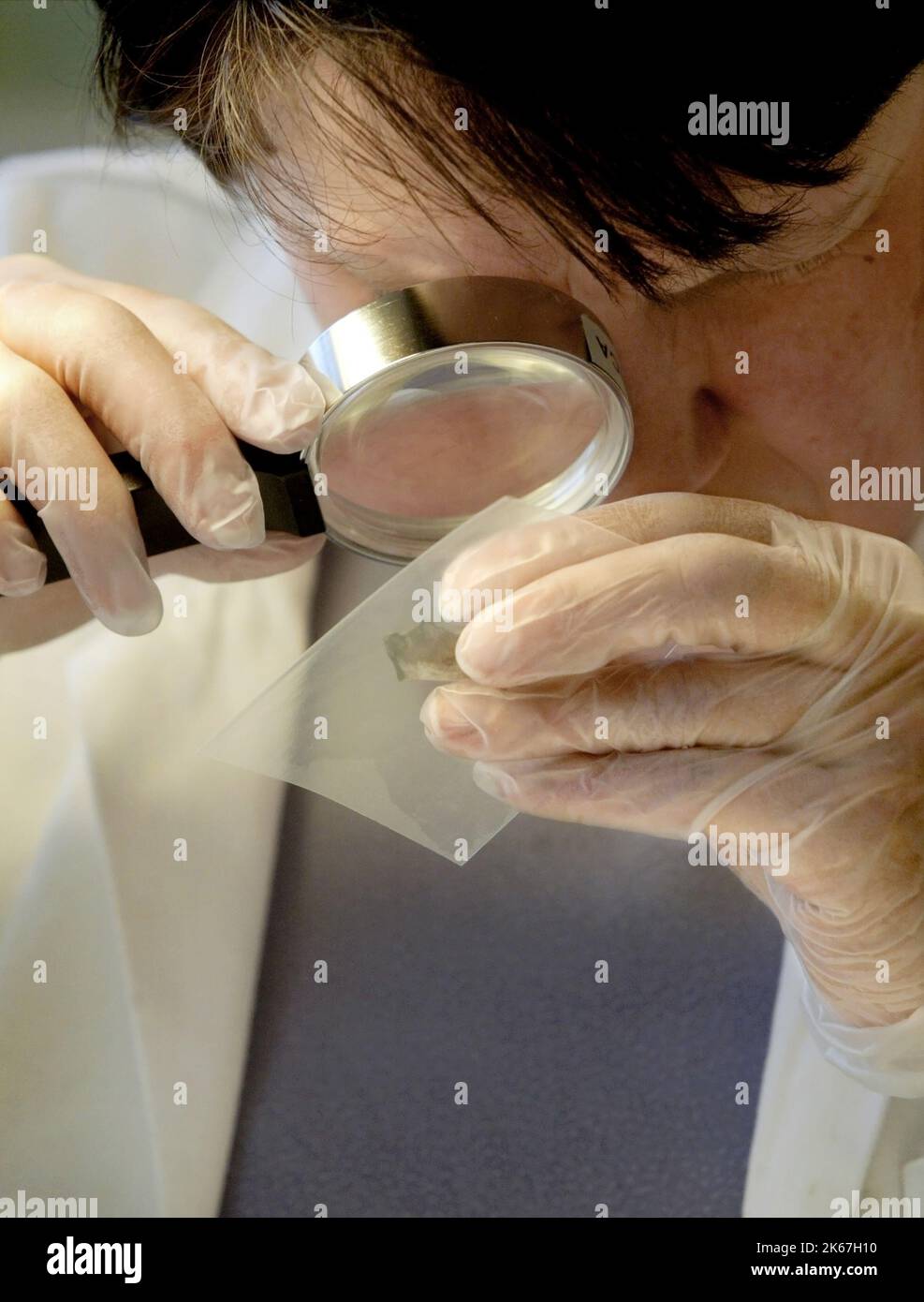 The National Laboratory of Forensic Science, Statens kriminaltekniska laboratorium in Linköping Sweden. It is tasked with assisting the Swedish police in investigating crimes. The agency performs laboratory analyses of samples which have been taken from various types of crime scenes. In the picture: Laboratory staff analyzing. Stock Photo