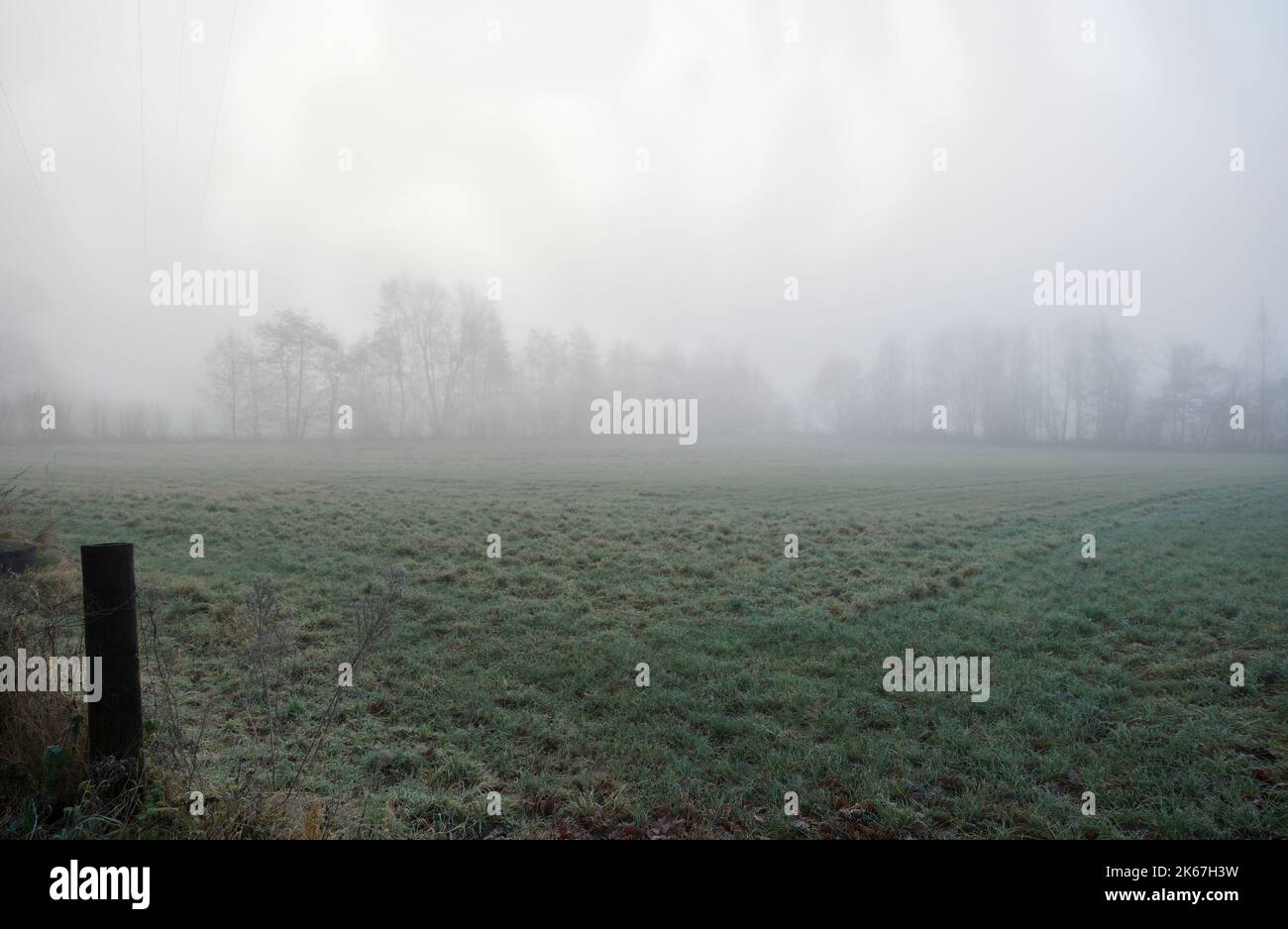 Morgennebel über dem Feld Stock Photo