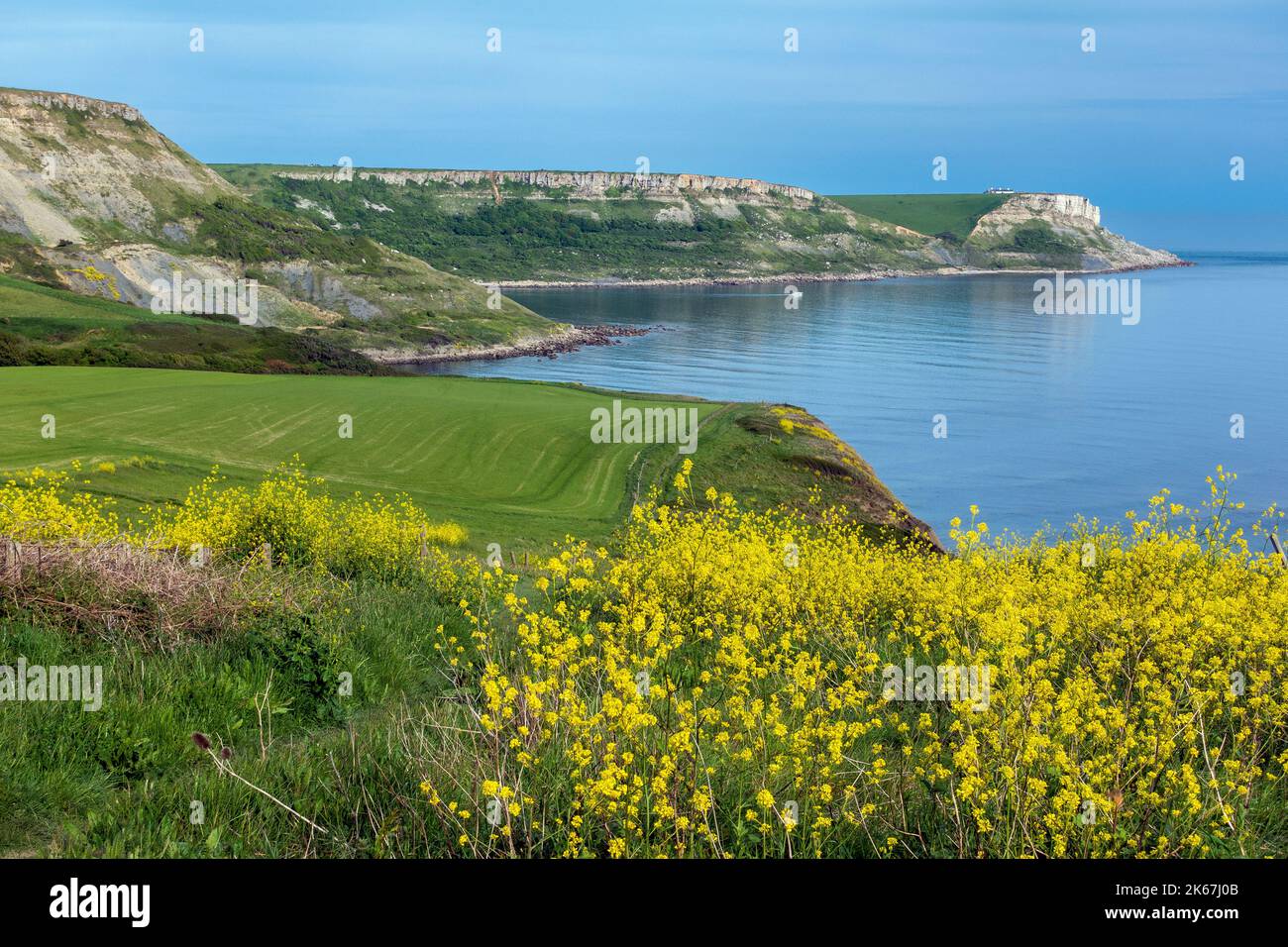 View from the South West Coastal path of Egmont Point, Emmetts Hill and ...