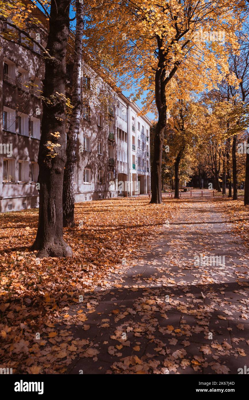 autumn walk around the city Stock Photo