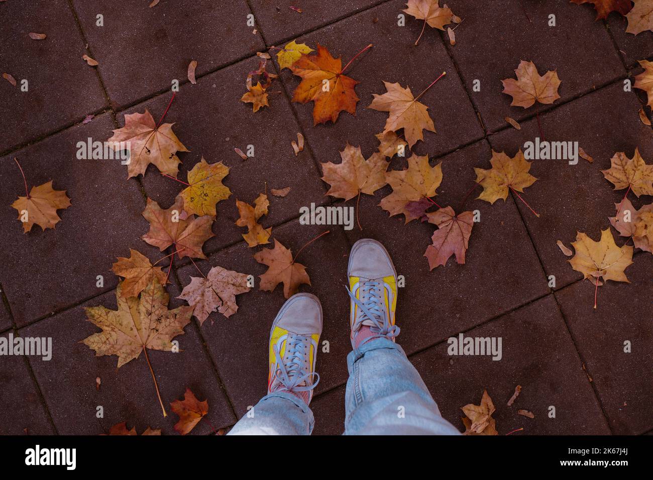 autumn walk in a city in sneakers Stock Photo
