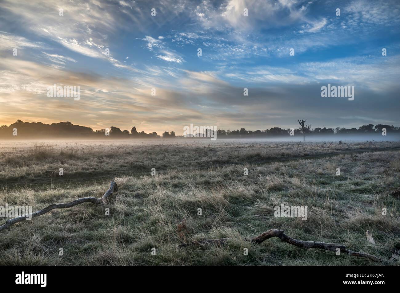 Perfect time of day for an early autumn walk in Surrey Stock Photo