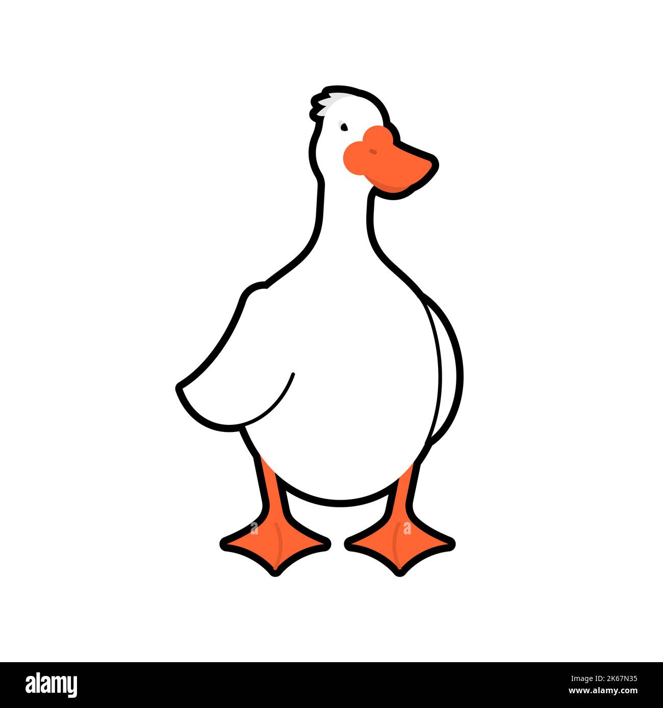 White goose isolated. Wild and domestic waterfowl with a long neck