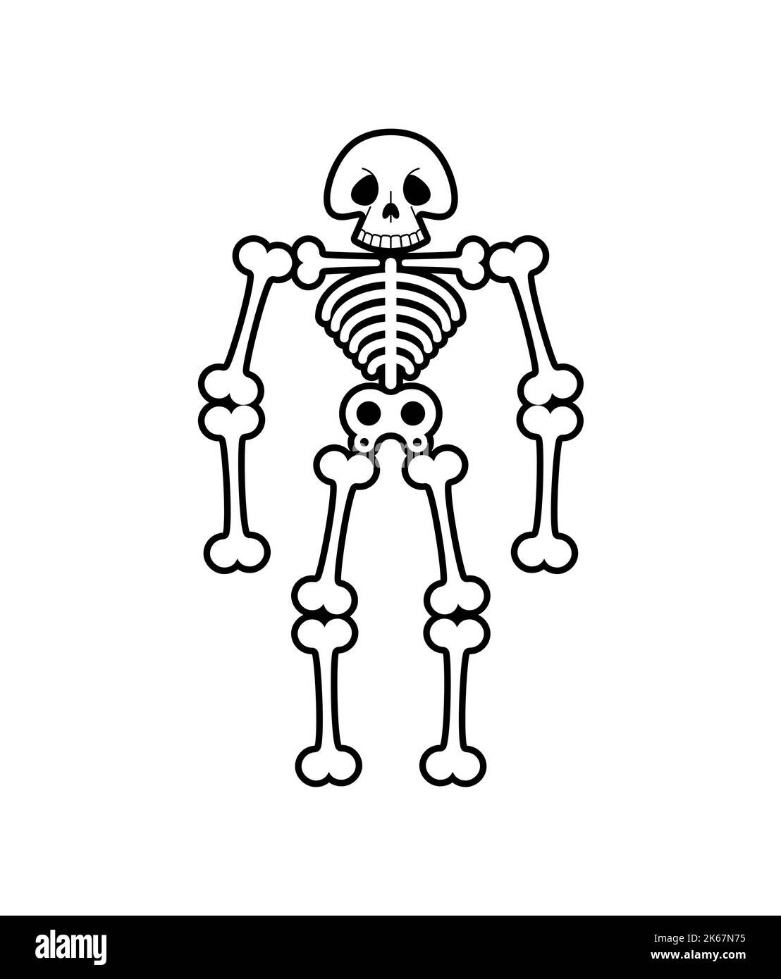 Skeleton cartoon isolated. Skull funny head. Vector illustration Stock Vector