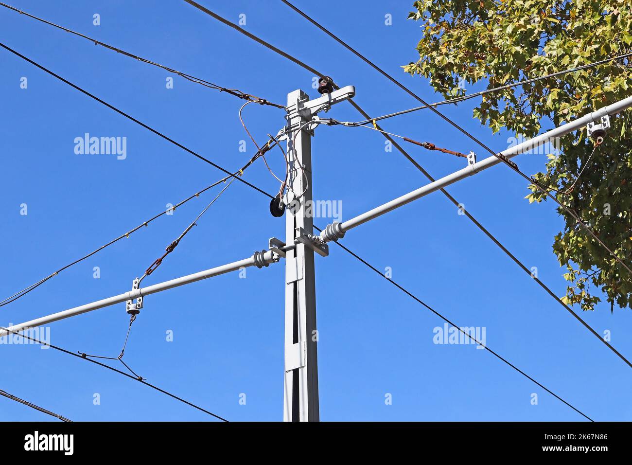 Electricity metal pole against blue sky and tree leaves Stock Photo - Alamy