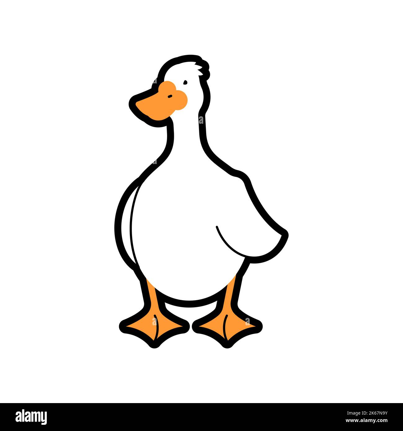 White goose isolated. Wild and domestic waterfowl with a long neck