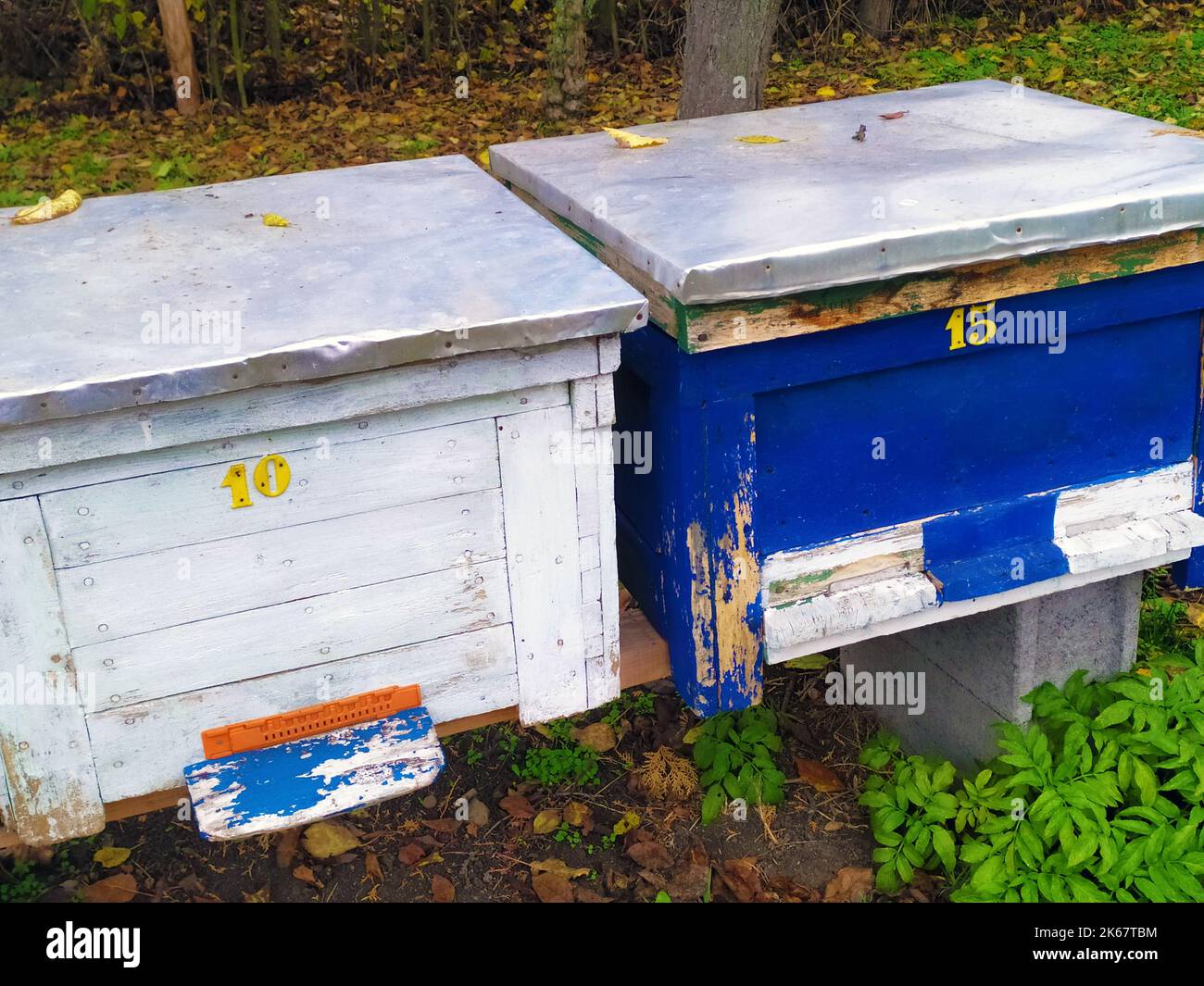 Vintage beehives hi-res stock photography and images - Alamy