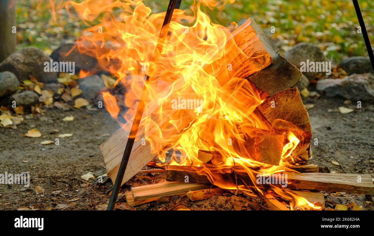 Burning wood chips to form coal. Barbecue preparation, fire before