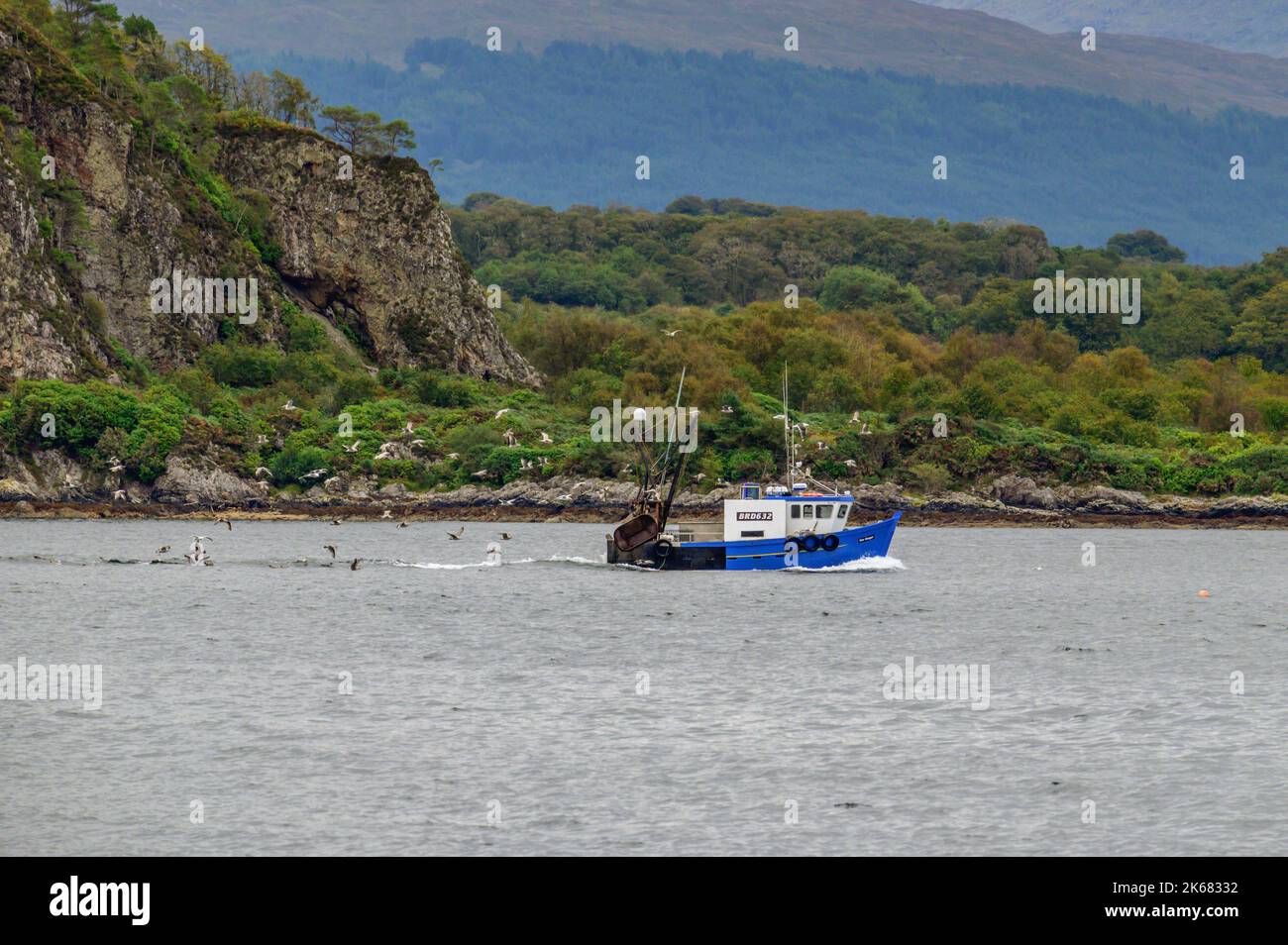 Fishing boat in The lynn of Lorn, Argyll and Bute, Scotland Stock Photo