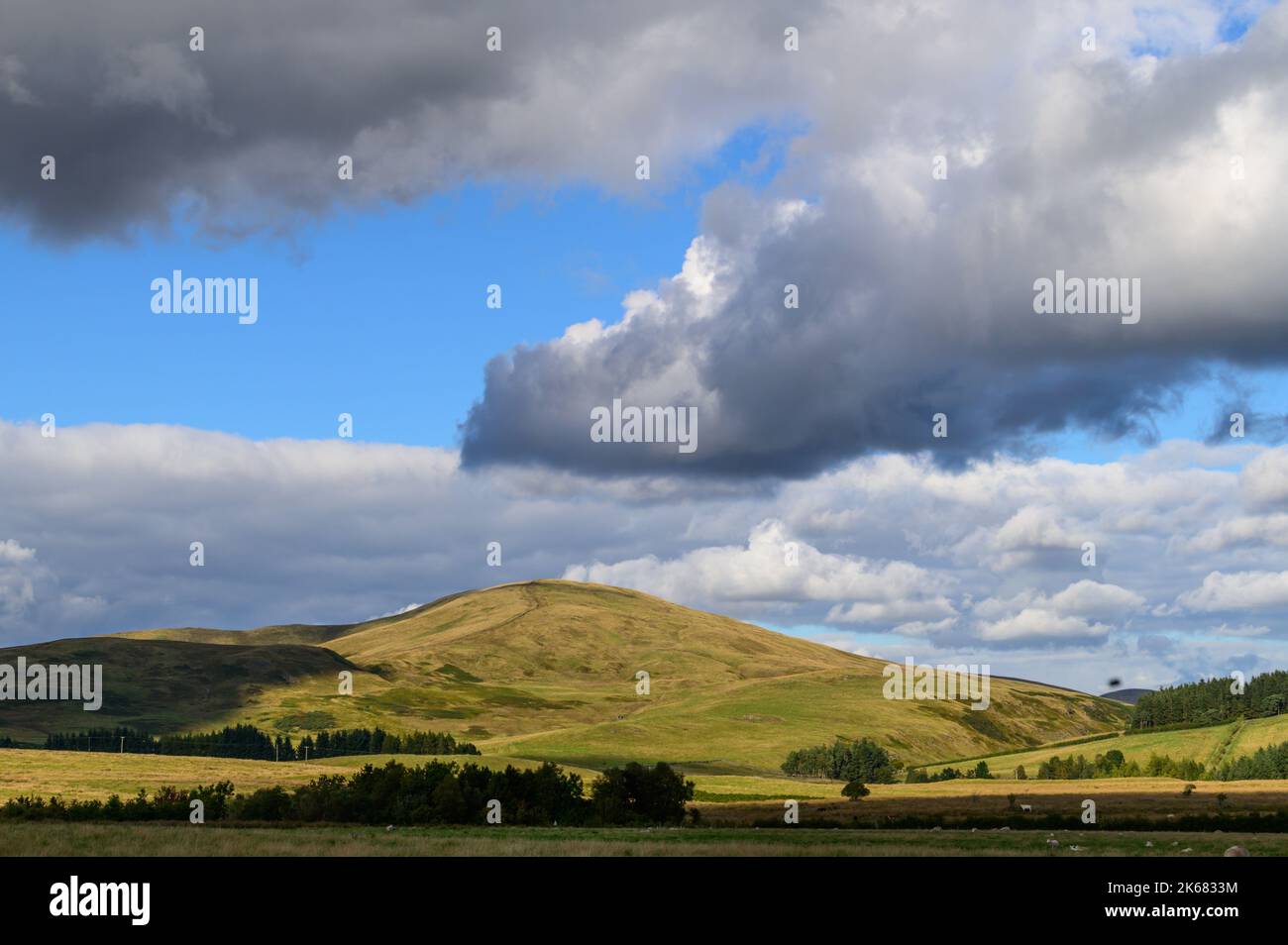 Mount Maw in the Pentland Hills, near West Linton, Peebleshire, Scotland Stock Photo