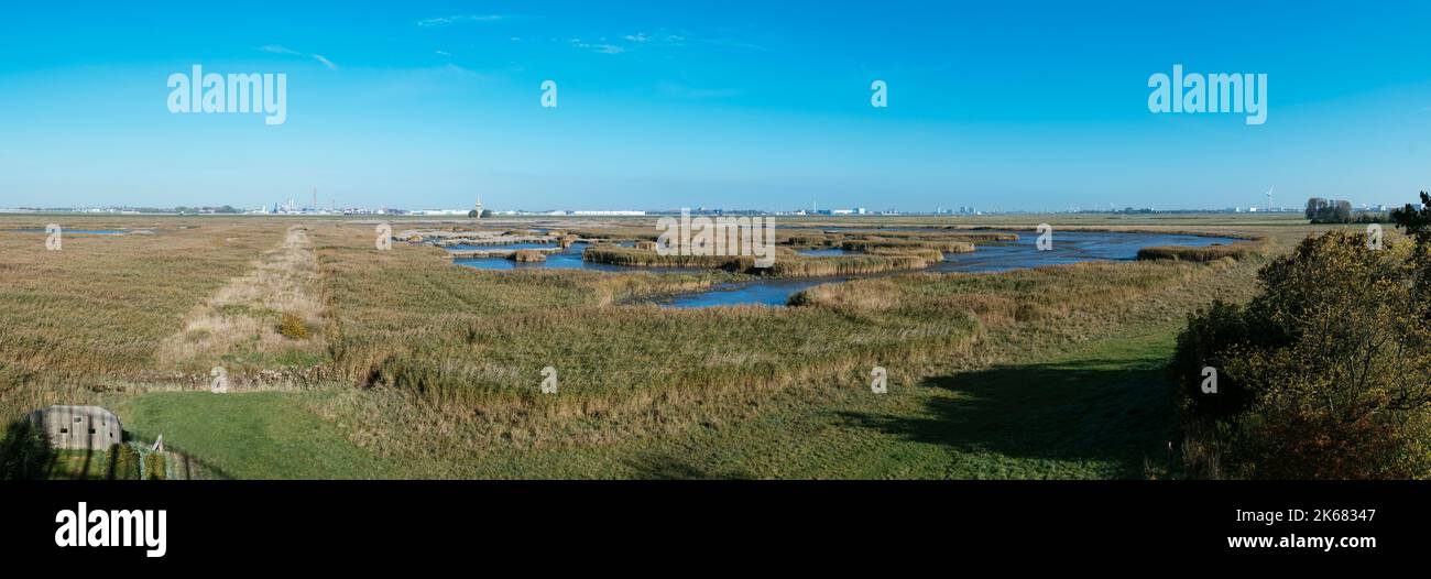 Panoramic view of the Tidepolder in the Lune Plate nature reserve. Stock Photo