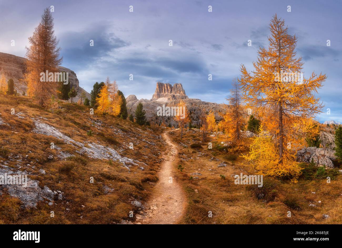 Beautiful orange trees and path in mountains at sunset. Autumn Stock Photo