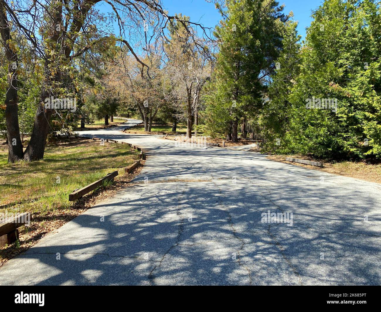 a campground road pavement rural camping recreational rv campsite summer glamping empty camp nature national park Stock Photo