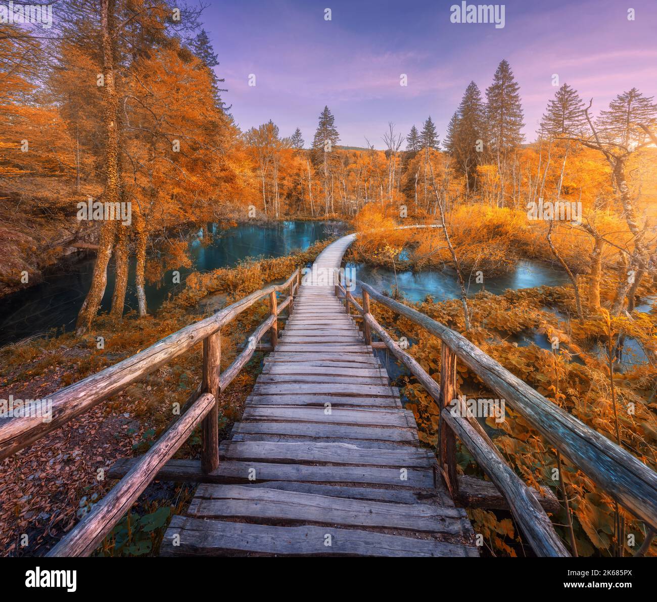 Wooden path in orange forest in Plitvice Lakes, Croatia at sunset Stock Photo