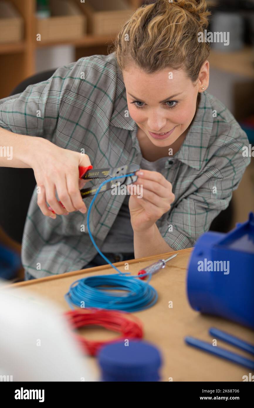 assembly wire harness with connector housing and terminal Stock Photo