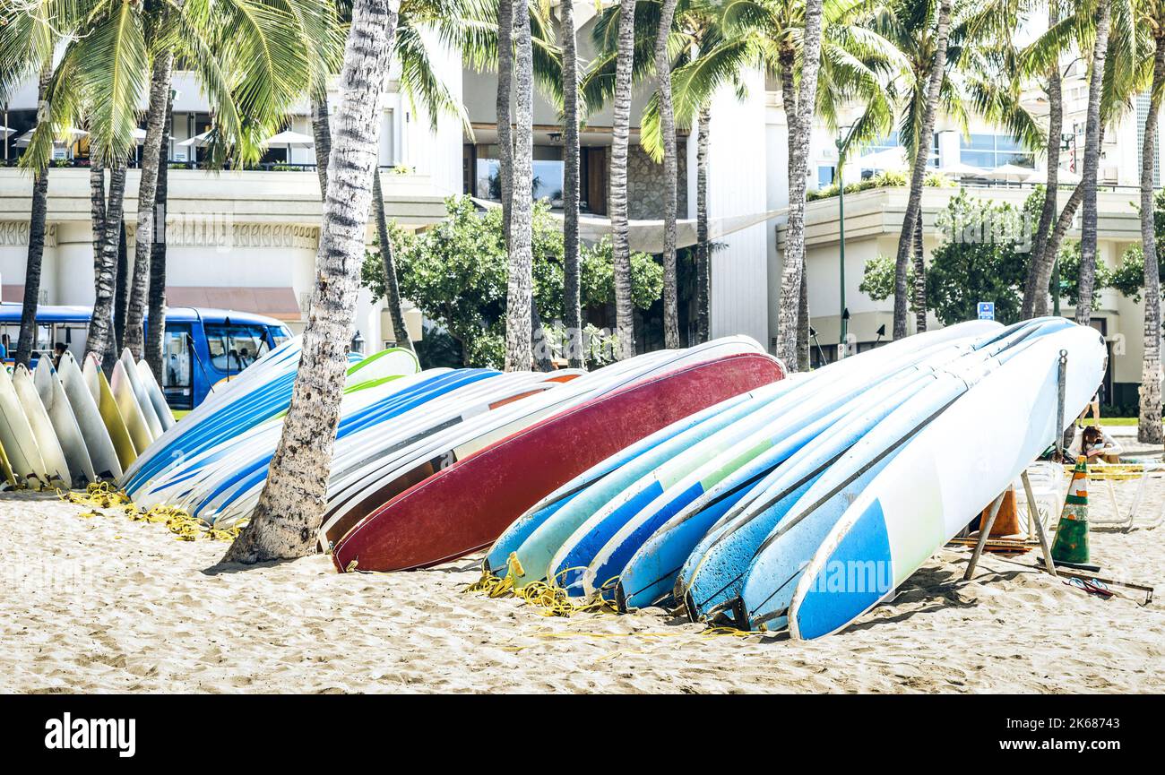 Multicolored surfboards at Waikiki Beach in Honolulu Hawaii Surf