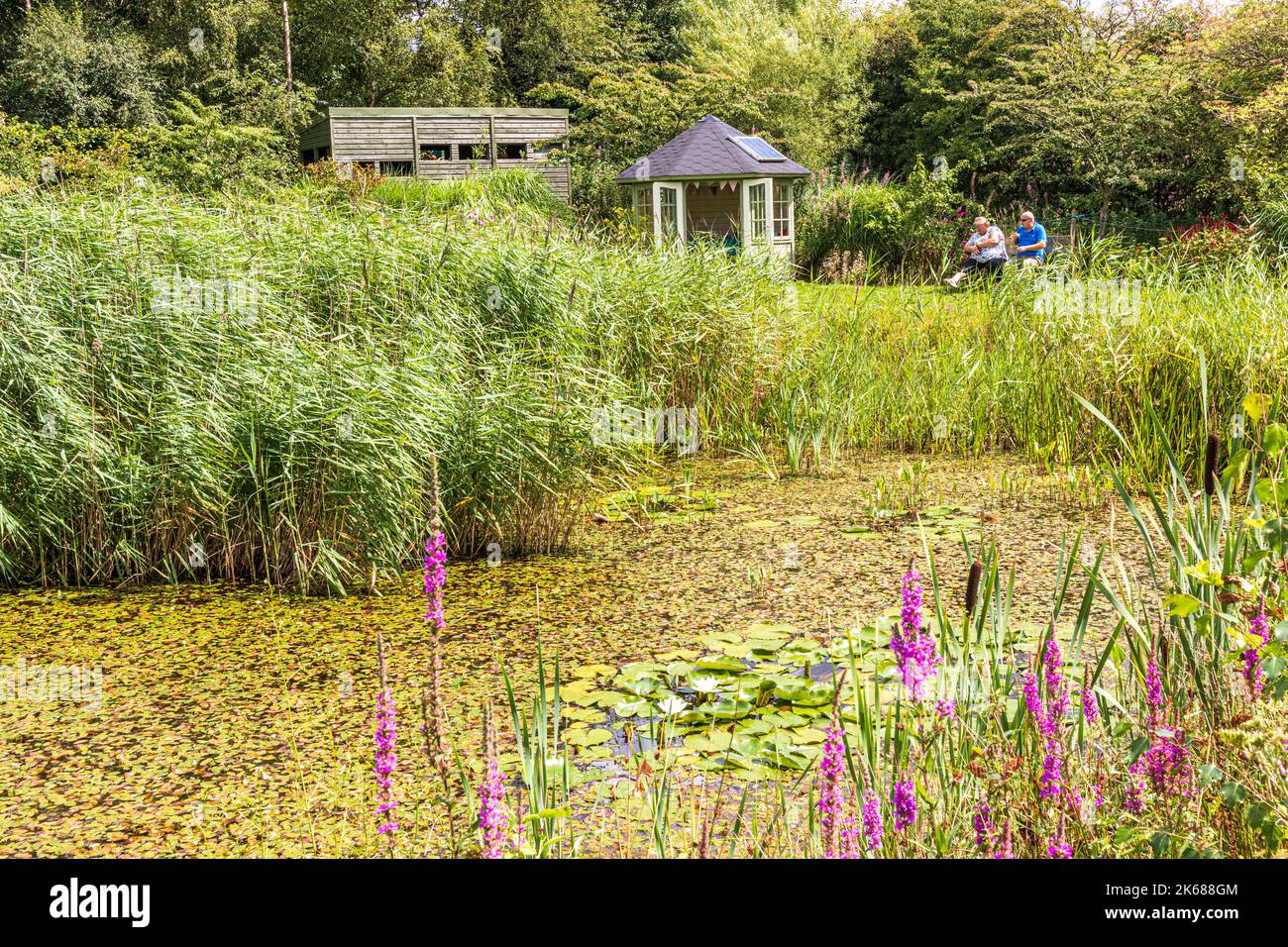 A couple relaxing by a pond at Crag House Farm, the headquarters of the Christian Charity 'Caring For Life' at Cookridge near Leeds, Yorkshire UK Stock Photo